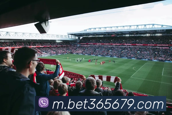 bet365中国官网全站App